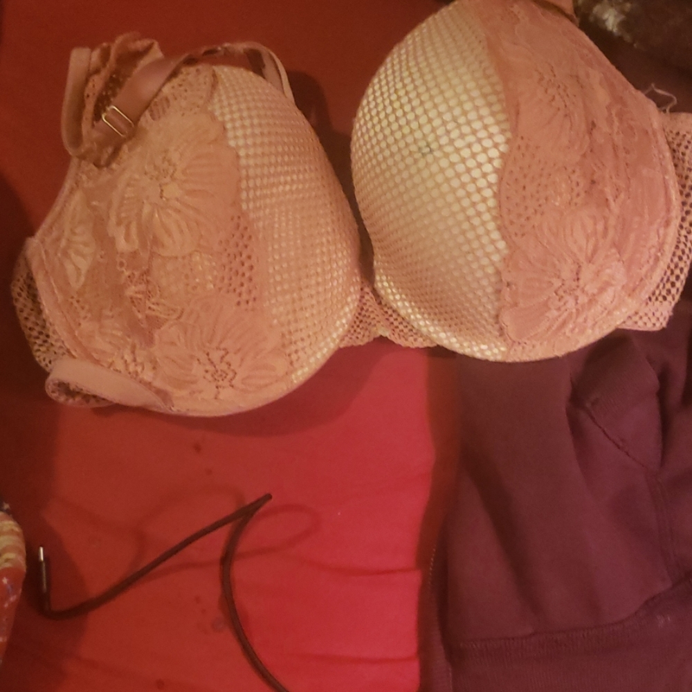 Bra - Picture 2 of 2